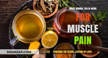 Soothe Your Aches: The Best Herbal Teas for Muscle Pain Relief
