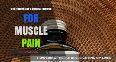Herbal Remedies: Natural Steroids to Relieve Muscle Pain and Inflammation