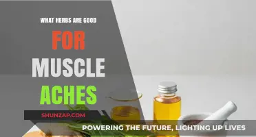 Nature's Remedies: Soothing Muscle Aches with Herbal Healing