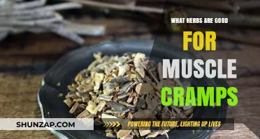 Natural Remedies: Herbs That Help Ease Muscle Cramps