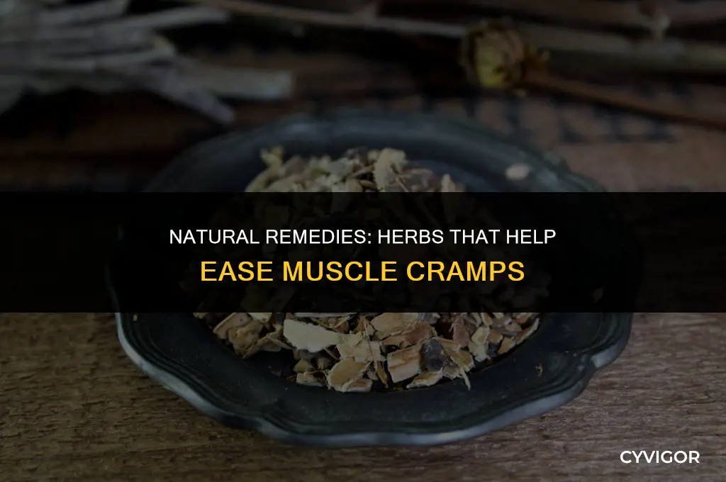 what herbs are good for muscle cramps