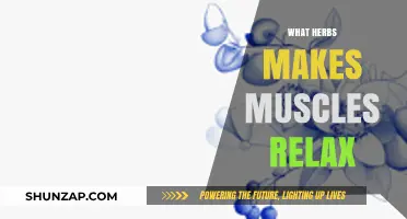 Herbal Remedies for Muscle Relaxation: Nature's Soothing Solutions