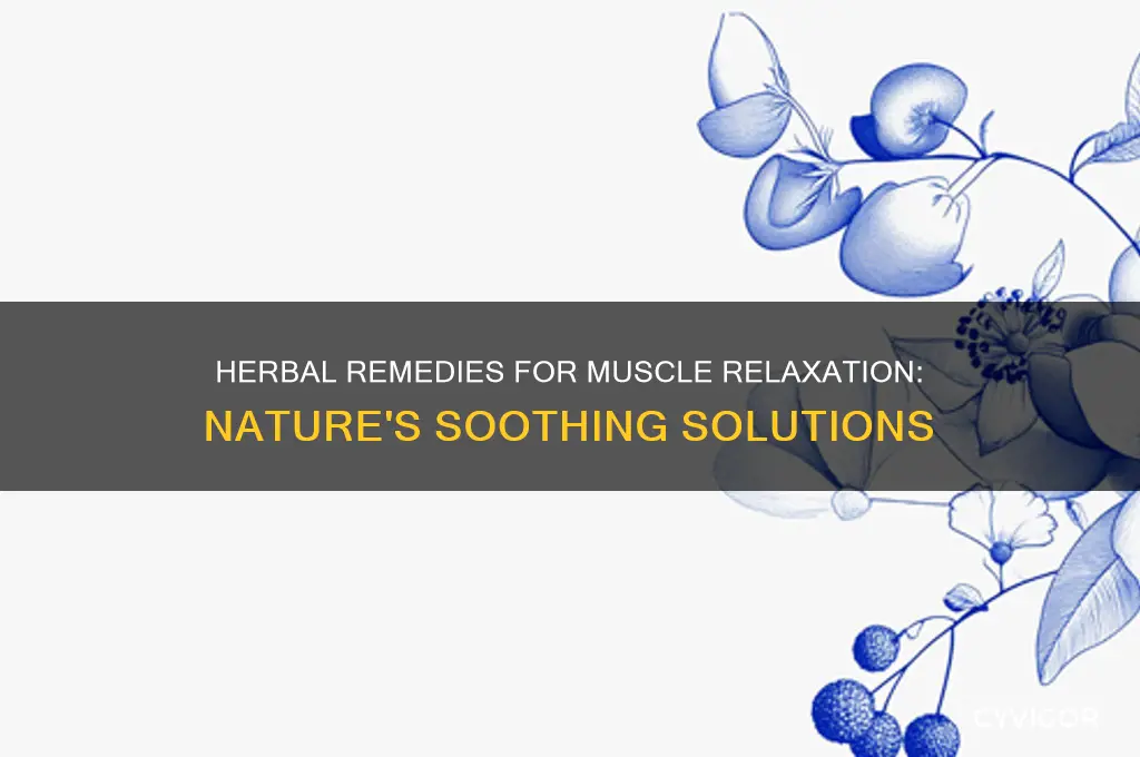 what herbs makes muscles relax