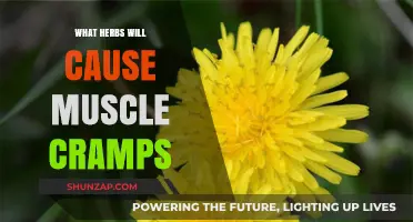 Herbs to Avoid: Uncovering Culprits Behind Unwanted Muscle Cramps