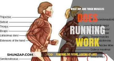 Running's Impact: Strengthening Hip and Thigh Muscles for Optimal Performance