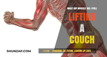 Pulled Hip Muscle from Lifting a Couch: Identifying the Injured Muscle