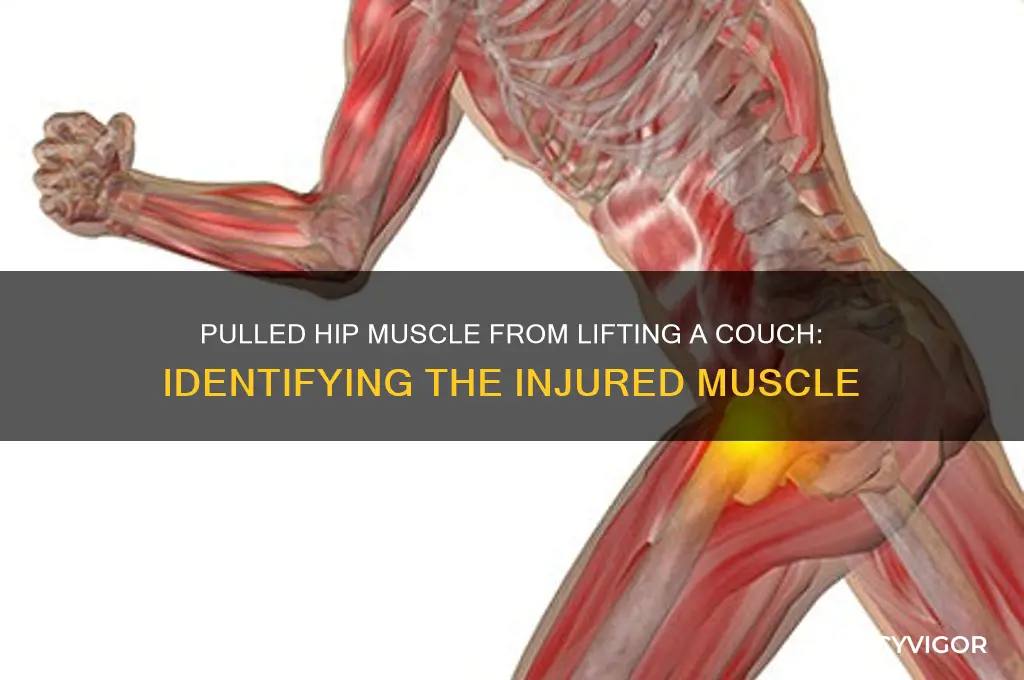 what hip muscle did i pull lifting a couch