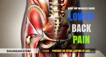 Hip Muscles and Lower Back Pain: Unraveling the Connection