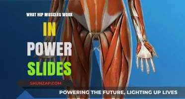 Power Slides: Unlocking the Role of Hip Muscles in Movement