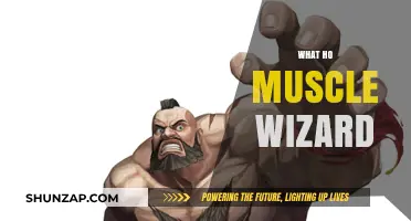 Muscle Wizard's Guide to Fitness and Health