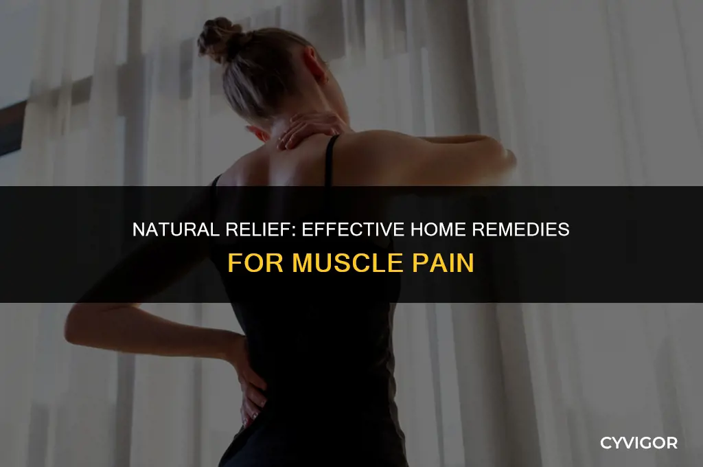 what home remedy is good for muscle pain
