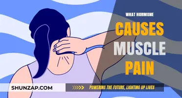 Hormonal Triggers: Unraveling the Link Between Hormones and Muscle Pain