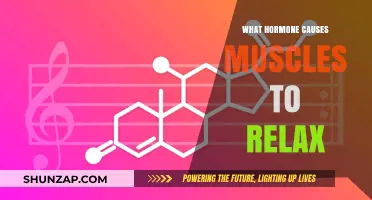 Unveiling the Hormone That Triggers Muscle Relaxation: A Comprehensive Guide