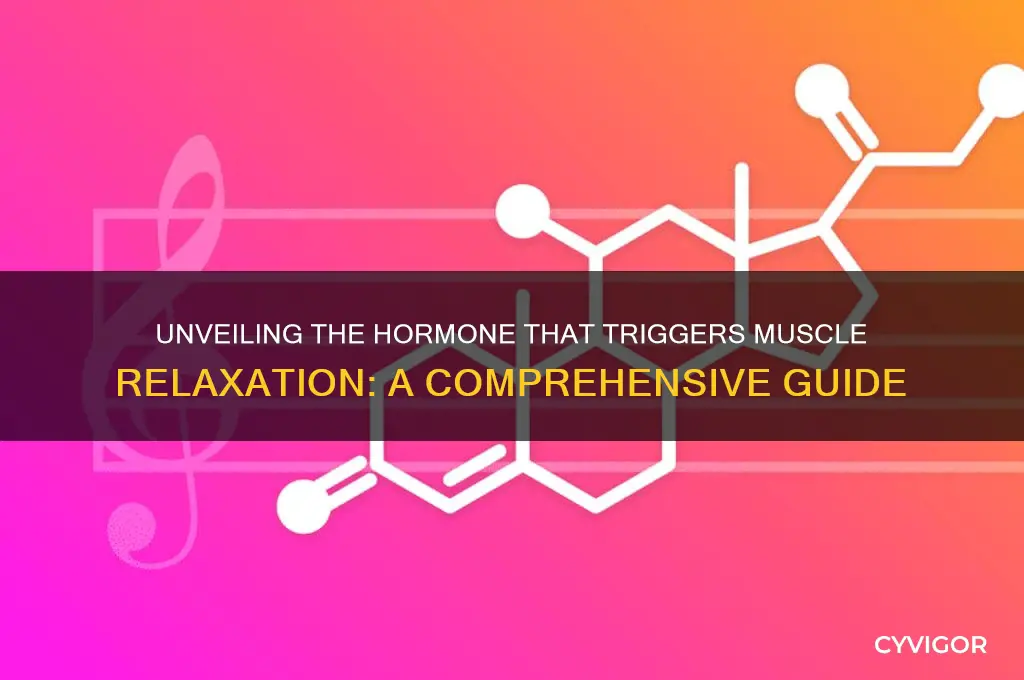 what hormone causes muscles to relax