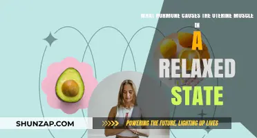 Progesterone's Role in Maintaining Uterine Muscle Relaxation Explained