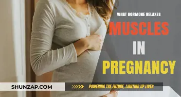 Pregnancy Hormone Relaxin: How It Eases Muscle Tension for Moms-to-Be