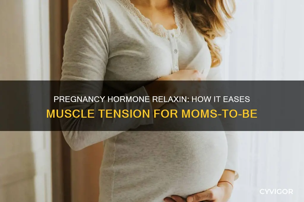 what hormone relaxes muscles in pregnancy
