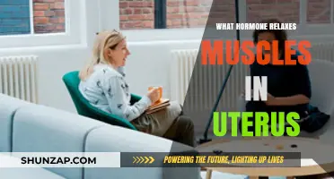 Progesterone's Role in Relaxing Uterine Muscles: A Hormonal Insight