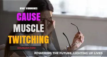 Hormonal Triggers: Unraveling the Causes of Muscle Twitching