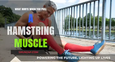 Pulled Hamstring Pain: Understanding the Symptoms and Causes