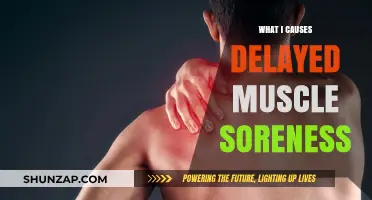 Unraveling Delayed Muscle Soreness: Causes and Effective Recovery Strategies