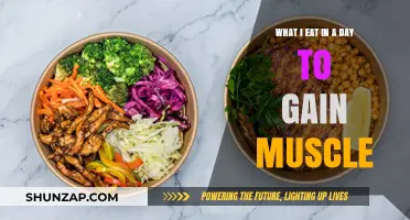 Muscle-Building Meals: My Daily Diet for Strength and Growth