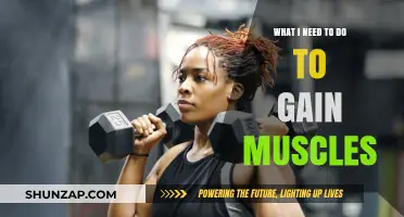 Effective Strategies to Build Muscle Mass and Strength Fast