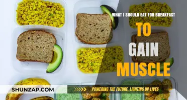 Muscle-Building Breakfasts: Fuel Your Gains with These Protein-Packed Picks