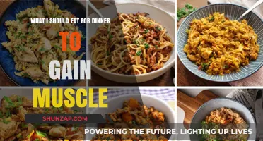 Muscle-Building Dinner Ideas: Nutrient-Packed Meals for Optimal Growth