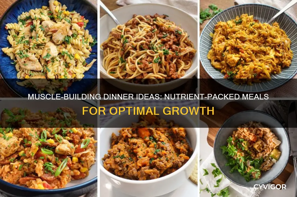 what i should eat for dinner to gain muscle