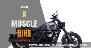 Muscle Bikes: Powerful Performance and Distinctive Style