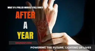 Persistent Muscle Pain: Why a Pulled Muscle Still Hurts After a Year
