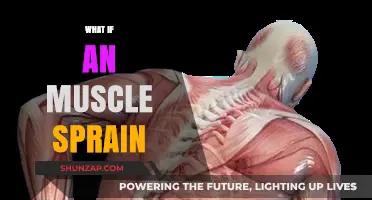 Healing a Muscle Sprain: What to Do and What Not to Do