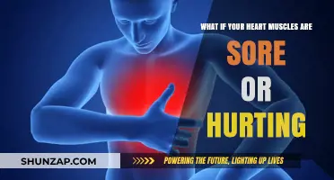 Heart Muscle Pain: Causes, Concerns, and When to Seek Help