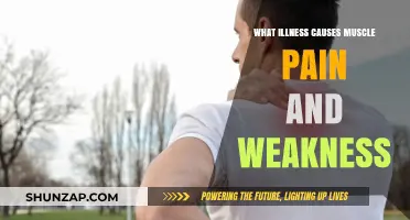 Understanding Chronic Muscle Pain and Weakness: Causes and Conditions Explained