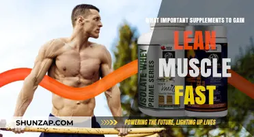 Top Supplements for Rapid Lean Muscle Gain: Essential Guide