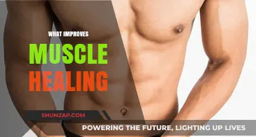 Muscle Recovery: Enhancing Healing and Performance