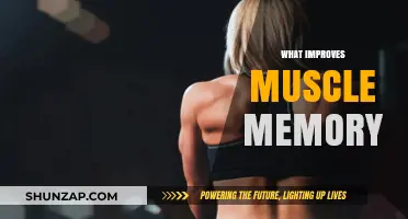 How to Enhance Muscle Memory: Tips and Tricks