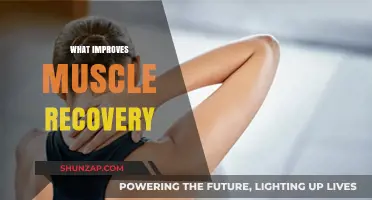 Enhancing Muscle Recovery: Strategies for Optimal Performance