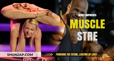 Enhancing Muscle Strength: Stretching Techniques for Improvement