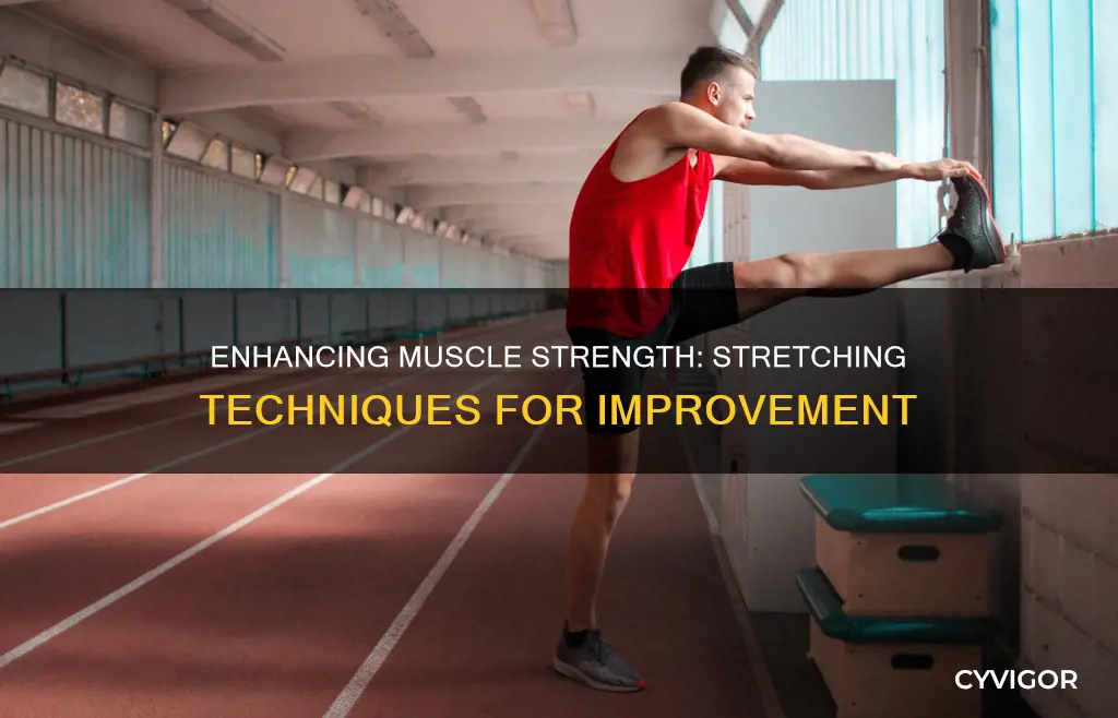 what improves muscle stre