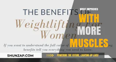Building Muscles: Benefits and Tips for a Stronger You