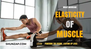 How to Increase Muscle Elasticity for Better Performance