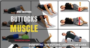 Build a Bigger Butt: Exercises to Target Glutes