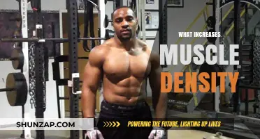 Building Muscle Density: Effective Strategies and Techniques