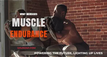 Enhance Muscle Endurance with These Simple Strategies