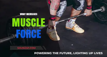 How to Increase Muscle Force: The Ultimate Guide
