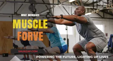 Build Muscle Strength: The Science-Backed Methods
