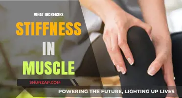 Muscle Stiffness: Causes and Prevention
