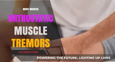 Understanding Orthostatic Muscle Tremors: An Intriguing Neurological Phenomenon